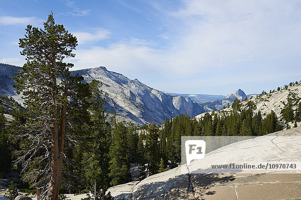 Blick vom Olmsted Point auf den Half Dome  Yosemite National Park; Kalifornien  Vereinigte Staaten von Amerika'.