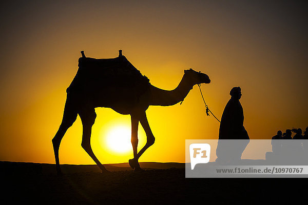 Ein ägyptischer Mann  dessen Silhouette von der untergehenden Sonne gezeichnet wird  führt ein Kamel durch die Wüste; Kairo  Ägypten