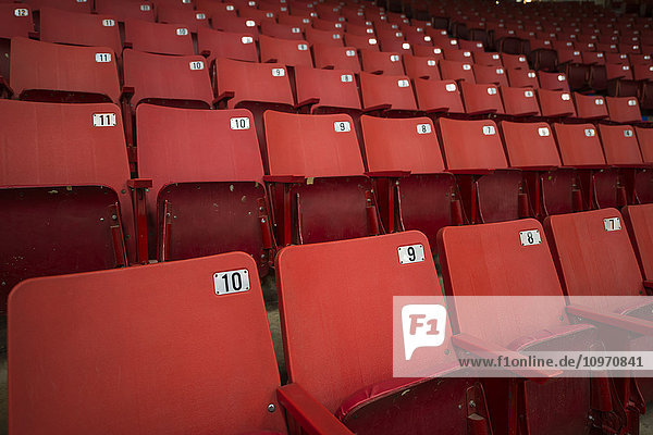 Rote Stadionsitze; Brandon  Manitoba  Kanada'.