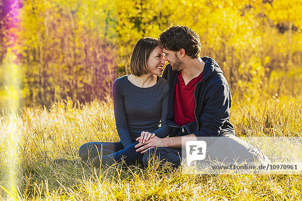 Ein junges Paar  das sich in die Augen schaut  während es eine romantische Zeit miteinander in einem Stadtpark im Herbst genießt; Edmonton  Alberta  Kanada