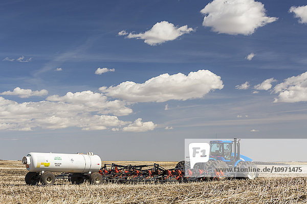 Tractor and air seeder with nitrogen tank in stubble field planting crop with blue sky and clouds; Alberta  Canada