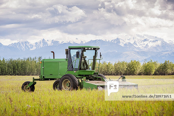Self propelled disc mower cutting a field of hay (grass); Delta Junction  Alaska  United States of America