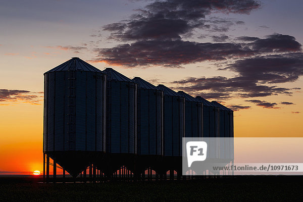 Silhouette einer Reihe von großen Getreidesilos aus Metall mit dem Sonnenaufgang im Hintergrund und bunten Wolken; Alberta  Kanada