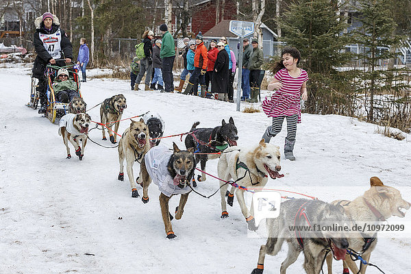 Becca Moore and her team run down a trail during the ceremonial start of Iditarod 2015  Anchorage  Alaska