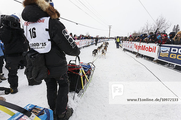 Joar Leifseth Ulsom läuft beim offiziellen Start des Iditarod 2015 in Fairbanks  Alaska  die Startrutsche hinunter.
