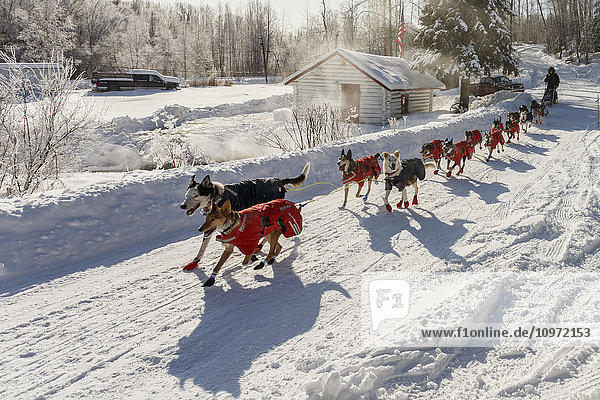 Joar Leifseth of Norway runs past the hot springs and steam rising as he leaves the checkpoint in Manley Hot Springs during the 2015 Iditarod