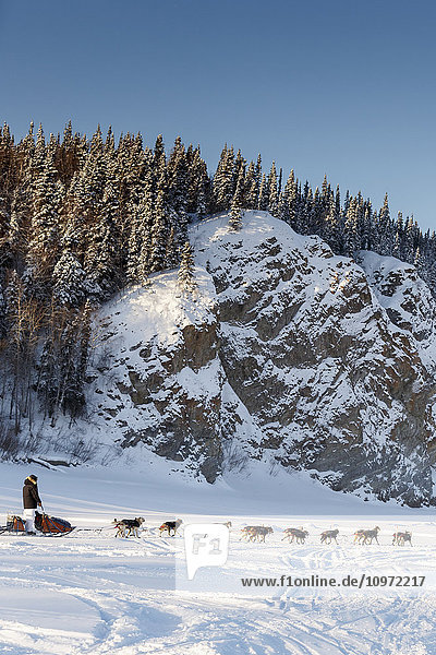 Bryan Bearss läuft auf dem Yukon River kurz nach dem Verlassen des Ruby Checkpoints während des Iditarod 2015
