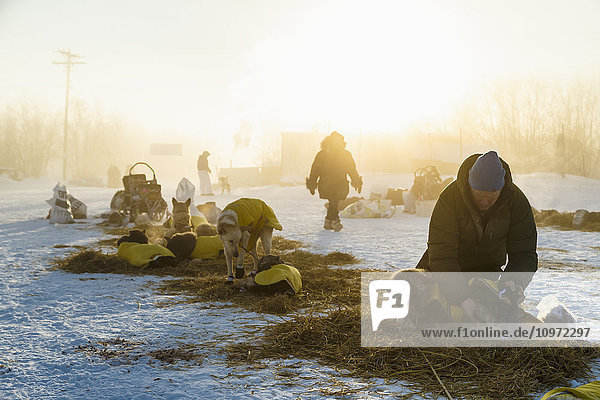 Mats Petterson stiefelt mit seinen Hunden im Eisnebel bei 40 Grad unter Null am Morgen am Kontrollpunkt Huslia während des Iditarod 2015