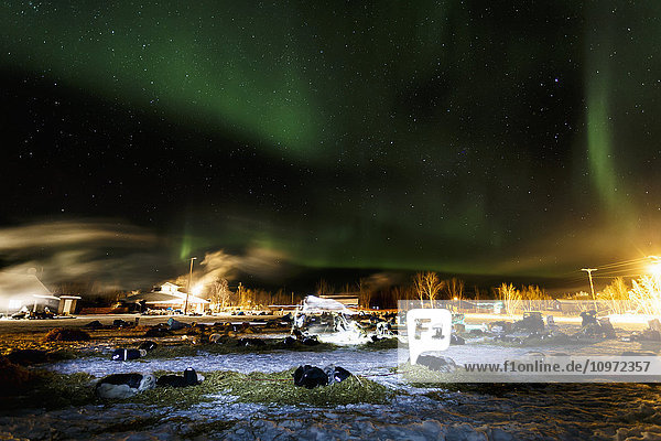Nordlichter tanzen über den rastenden Teams am Kontrollpunkt Huslia beim Iditarod 2015