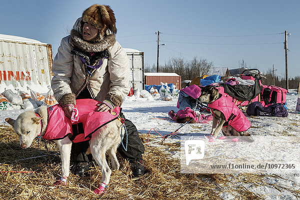 DeeDee Jonrowe boots dogs as she prepares to leave the Koyukuk checkpoint during Iditarod 2015