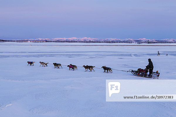Aaron Burmeister runs on the slough leaving the Unalakleet checkpoint at sunset during Iditarod 2015