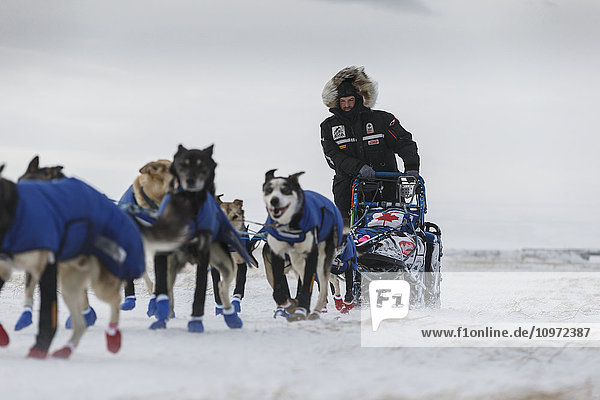 Rookie Jason Campeau läuft beim Iditarod 2015 bei 35 mph Wind auf dem Slough beim Verlassen des Unalakleet Checkpoints