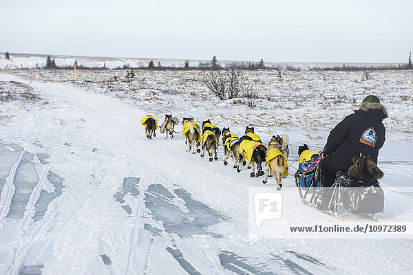 Mats Pettersson aus Schweden auf dem Trail bei 30 mph Wind einige Meilen vor dem Unalakleet Checkpoint während des Iditarod 2015