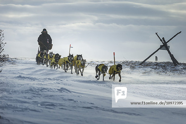 Mats Pettersson aus Schweden auf dem Trail bei 30 mph Wind einige Meilen vor dem Unalakleet Checkpoint während des Iditarod 2015