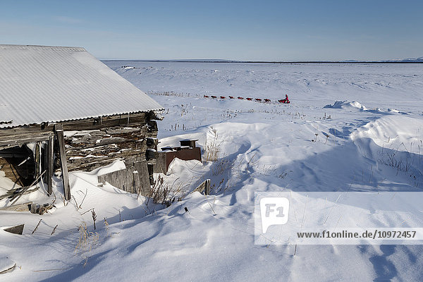 DeeDee Jonrowe runs past abandoned buildings of Old Shaktoolik a few miles before the Shaktoolik checkpoint during Iditarod 2015