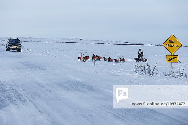 Ken Anderson läuft während des Iditarod 2015 einige Meilen vor der Ziellinie in Nome über die Nome-Council-Straße