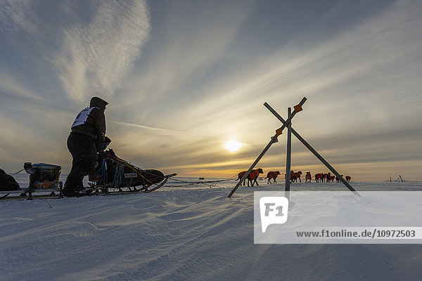 Ken Anderson passiert während des Iditarod 2015 einige Meilen vor dem Ziel in Nome einen Tripod-Trail-Marker
