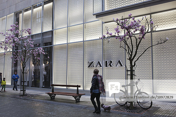 Eine Frau mit einem kleinen Hund und andere Einkäufer im Geschäftsviertel des Stadtzentrums  vorbei an einer Filiale des spanischen Bekleidungsimperiums Zara und Magnolienbäumen mit rosa Blüten; San Sebastian  Spanien'.