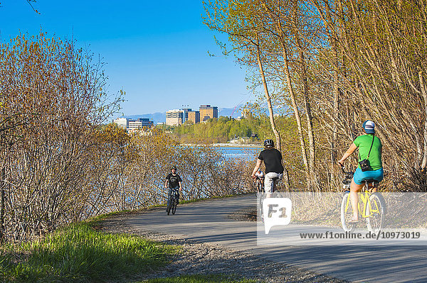 Bicyclists on the Tony Knowles Coastal Trail near downtown Anchorage  Alaska  Spring