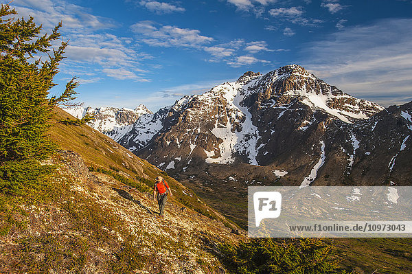 Wanderer auf einem Hügel mit Blick auf das Powerline Pass-Tal und den Wanderweg  Chugach State Park  Southcentral Alaska
