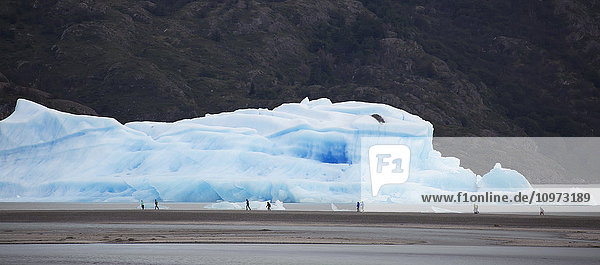 Menschen vor einem Eisberg im Lago Grey  Torres del Paine National Park; Magallanes Region  Chile