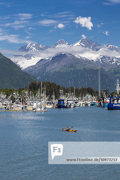 Seine Fischerboote im Bootshafen von Valdez mit einem Mann in einem Kajak im Vordergrund  Southcentral Alaska  Sommer.
