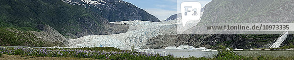 Panorama view of Mendenhall Glacier  Tongass National Forest  Southeast Alaska  summer
