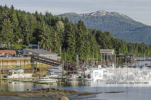 Auke Bay small boat harbor north of Juneau with Mt. Meek and Douglas Island in the background  Southeast Alaska
