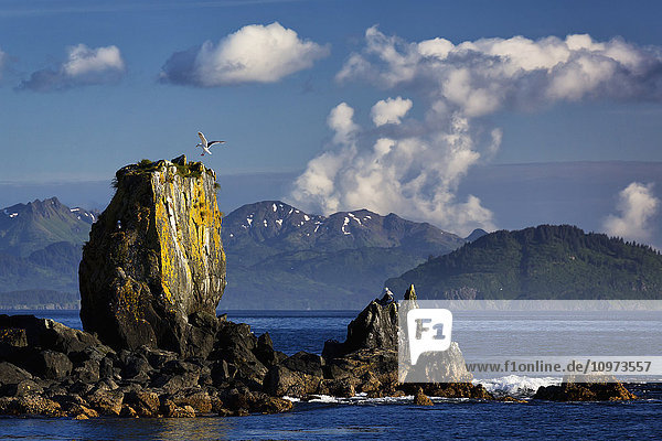Landschaftliche Ansicht von Meeresstapeln entlang der Küste von Kodiak Island in der Nähe von Kodiak  Chiniak Bay  Südwest-Alaska  Sommer