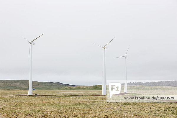'Wind turbines on green tundra  St. Paul Island  Southwestern Alaska  USA  Summer'