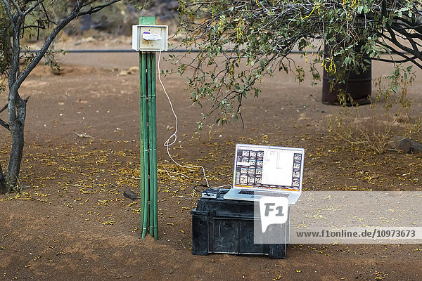 Laptop-Computer  der auf einem Gehäuse ruht und in eine Steckdose an einem Pfosten neben einem Baum eingesteckt ist; Keetmanshoop  Namibia
