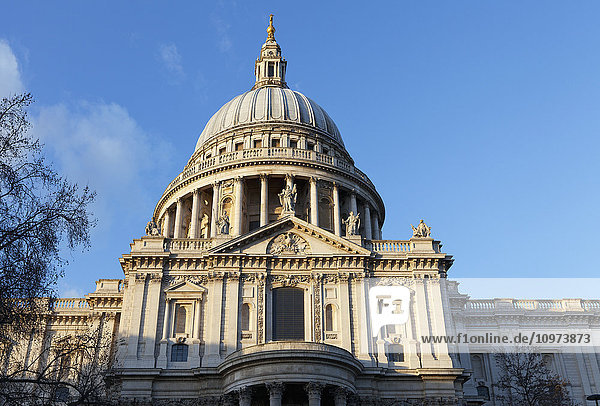 'St. Paul's Cathedral; London  England'