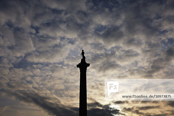 'Nelson's Column in Trafalgar Square at sunset; London  England'