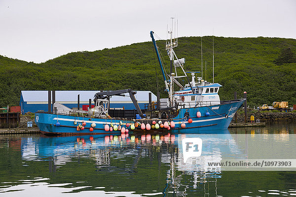 Bojen  die an der Seite eines blauen Fischerboots hängen  Sand Point Harbor  Südwest-Alaska  USA  Sommer