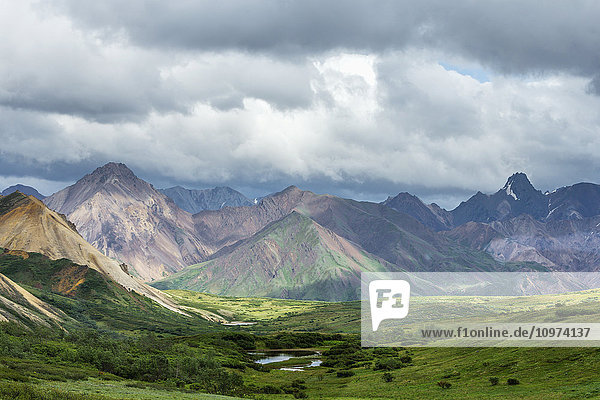Panoramablick auf den Sable Pass und die Ausläufer der Alaska Range  Denali National Park  Inneres Alaska  Sommer