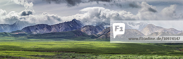 Panoramic scenic of Polychrome Pass and the Alaska Range  Denali National Park and Preserve  Interior Alaska  summer