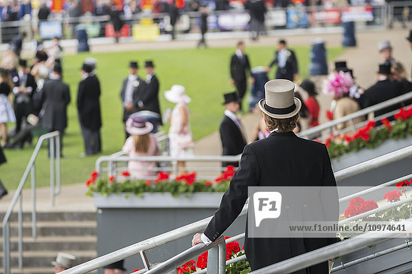 Von hinten im Vordergrund gesehen steht ein Mann mit schwarzem Frack und grauem Zylinder auf den Stufen und blickt auf die Menschen in Frack und Sommerkleidern auf einer der Rasenflächen in der Royal Enclosure in Royal Ascot; Ascot  England