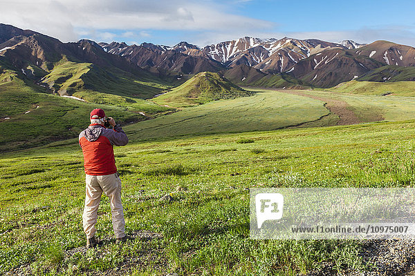 View of a senior man in an orange jacket taking a picture of Alaska Range  Grant Creek  and the plain below Highway Pass with lush green tundra and blue sky in Denali National Park and Preserve  Interior Alaska  early morning  summer.