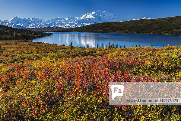 Herbstfarben am Wonder Lake im Morgenlicht  Denali National Park & Preserve.