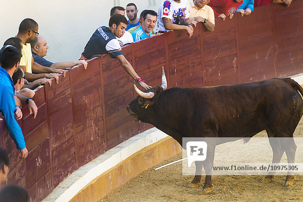 'Festival in Alcala de Henares and the bullring; Madrid Spain'