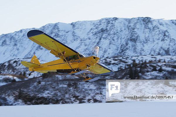 Piper PA-18 Super Cub auf Skiern hebt mit den Kenai Mountains im Hintergrund ab  Southcentral Alaska.