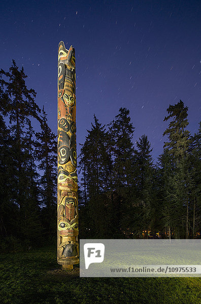 Totempfahl beleuchtet bei Nacht im Sitka National Historic Park  Südost-Alaska  USA  Sommer