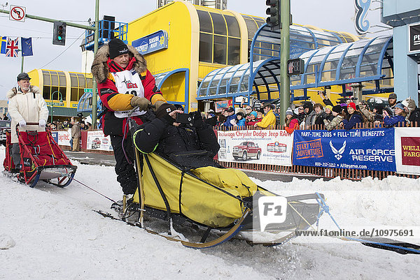 Mitch Seavey und sein Team verlassen die feierliche Startlinie mit einem Iditarider während des Iditarod 2016