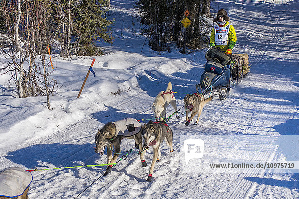 Nicolas Petit und sein Team laufen den Trail am Long Lake hinunter  kurz nachdem sie den Neustart in Willow  Alaska  während des Iditarod 2016 verlassen haben.
