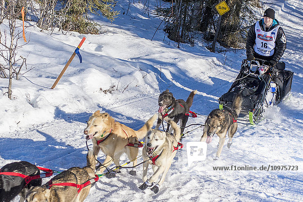 Dallas Seavey und sein Team laufen den Trail am Long Lake hinunter  kurz nachdem sie den Neustart in Willow  Alaska  während des Iditarod 2016 verlassen haben.