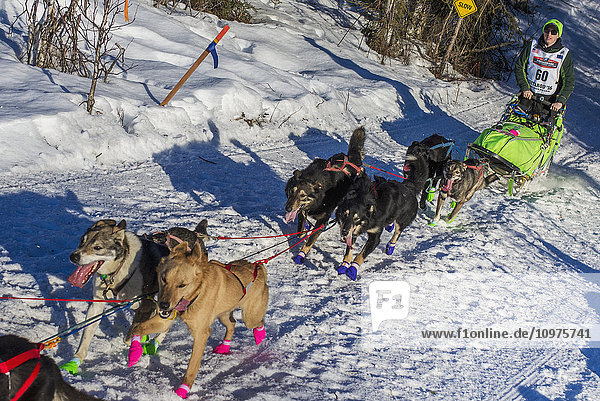 Ryan Redington und sein Team laufen den Trail am Long Lake hinunter  kurz nachdem sie den Neustart in Willow  Alaska  während des Iditarod 2016 verlassen haben.