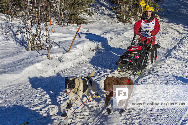 Hugh Neff und sein Team laufen den Trail am Long Lake hinunter  kurz nachdem sie den Neustart in Willow  Alaska  während des Iditarod 2016 verlassen haben.