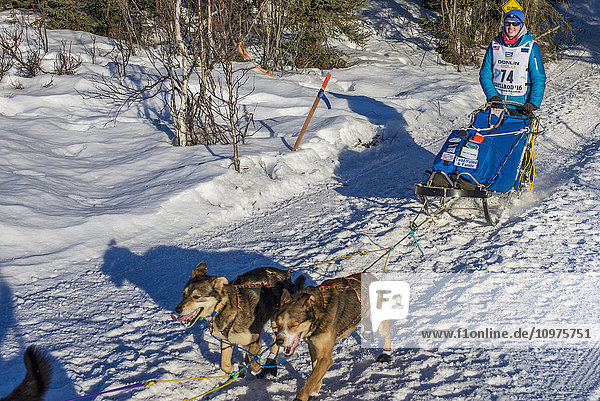 Zoya DeNure und ihr Team laufen den Trail am Long Lake hinunter  kurz nachdem sie den Neustart in Willow  Alaska  während des Iditarod 2016 verlassen haben.