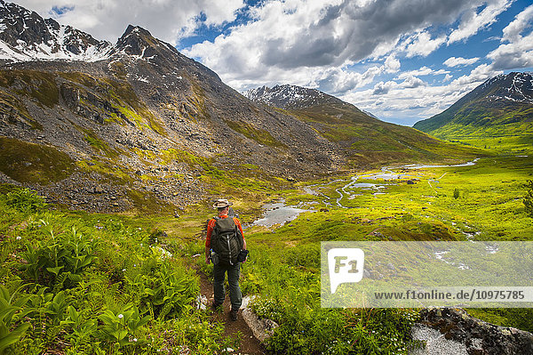 Man hikes the Reed Lakes Trail in Archangel Valley  Talkeetna Mountains  Southcentral Alaska  summer
