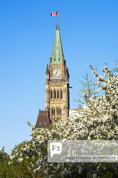 Parlamentsgebäude vom Majors Hill Park aus gesehen; Ottawa  Ontario  Kanada'.